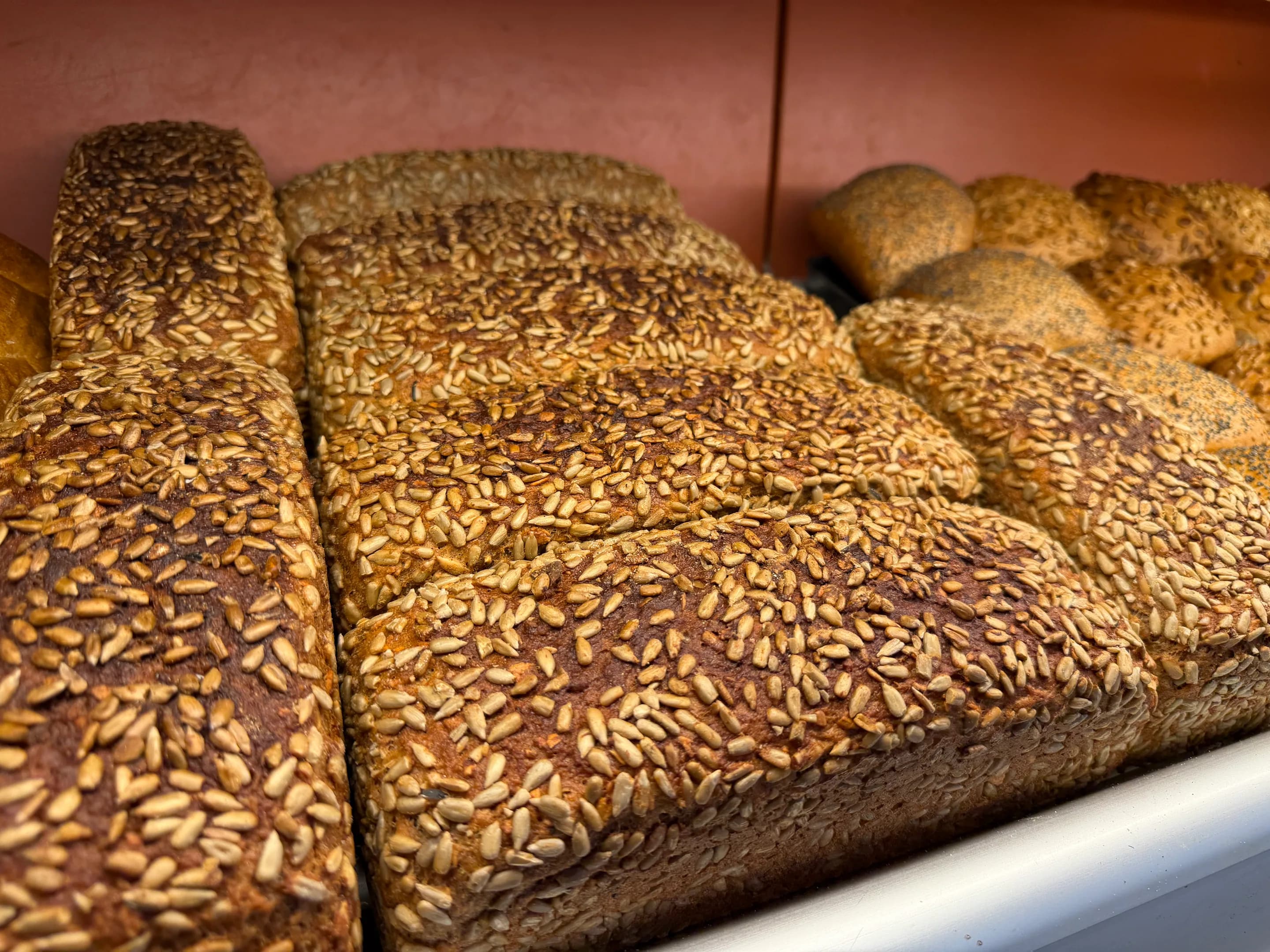 Dunkle Brote mit dichter Sonnenblumenkernkruste in der Auslage der hauseigenen Bäckerei